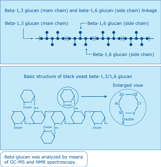 structure of beta-glucan