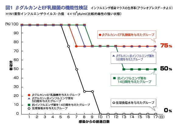 βグルカンとEF乳酸菌の機能性検証